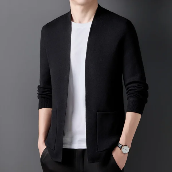 Chic Men's Daily Spring and Autumn Sweater 2025, Black Men's Coat, Small Standing Collar Cardigan - Image 3