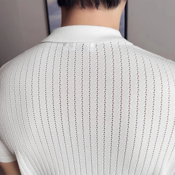 Men's Knitted Short-Sleeved Polo Shirt with V-neck, Lapel, Slim Fit, Fashion Bottoming Shirt, 2025 Spring/Summer - Image 5